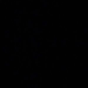 Meet your Posher, Renae